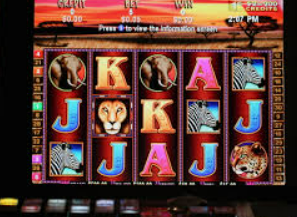 彩神vll购彩电脑免费版